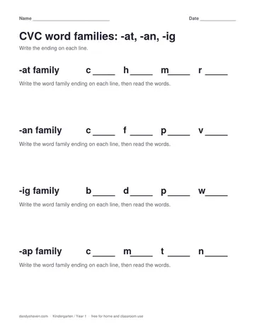 CVC word families: -at, -an, -ig worksheet preview