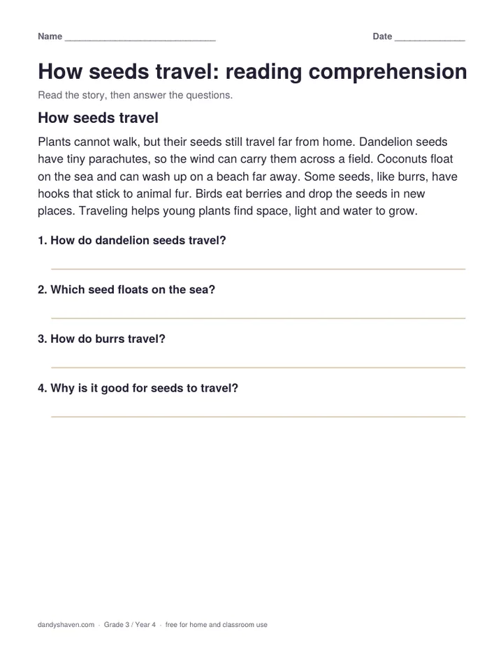 How seeds travel: reading comprehension worksheet preview