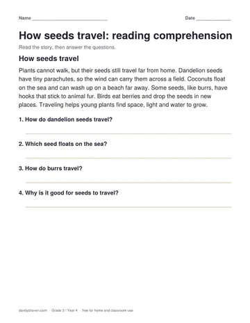 How seeds travel: reading comprehension worksheet preview
