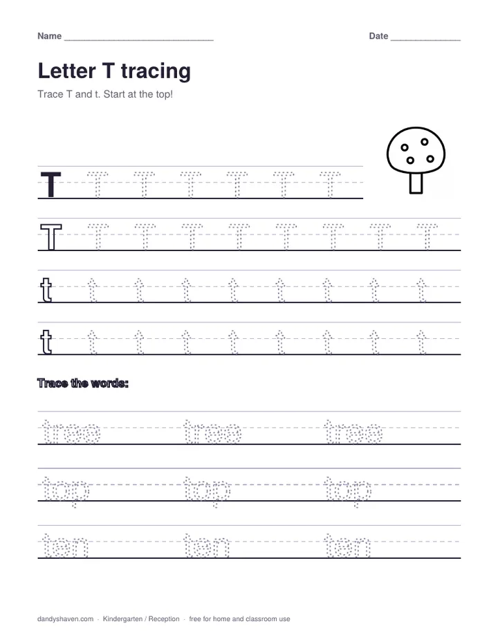 Letter T tracing worksheet preview