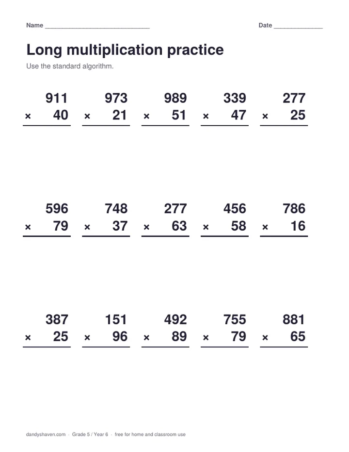 Long multiplication practice worksheet preview
