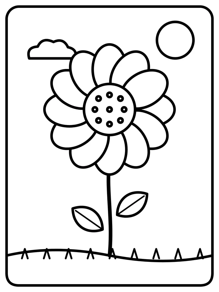 Color Tall sunflower online