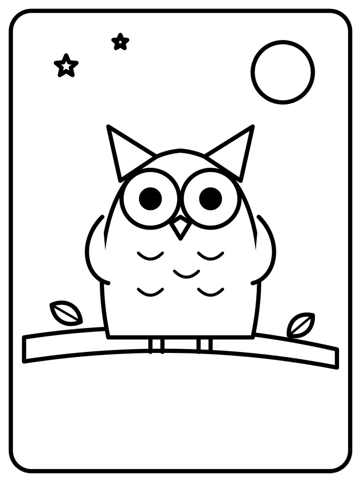 Wise owl